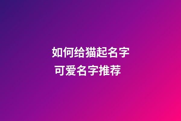 如何给猫起名字 可爱名字推荐